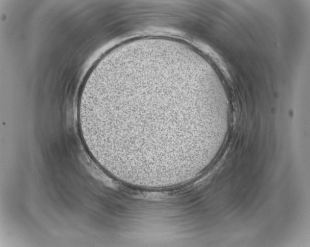 X0000085811280200704131937