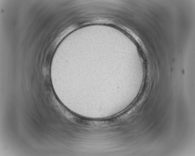 X0000085811281200704131937