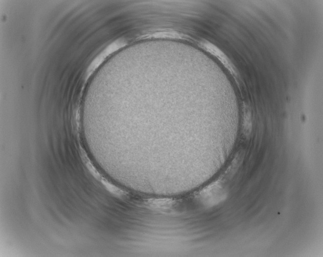 X0000085811282200704131937