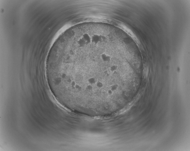 X0000085811283200704131937