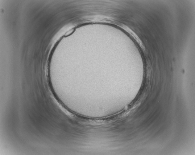 X0000085811285200704131937