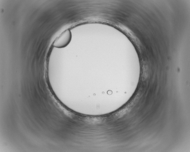 X0000085811286200704131937