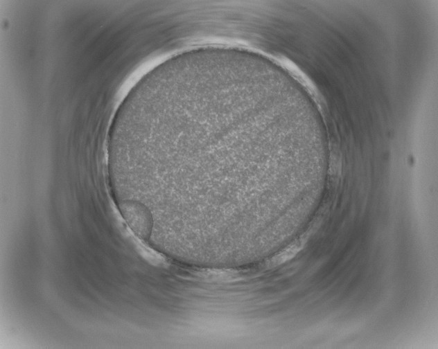 X0000085811287200704131937