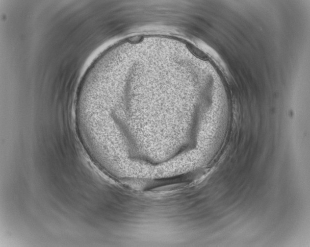 X0000085811288200704131937