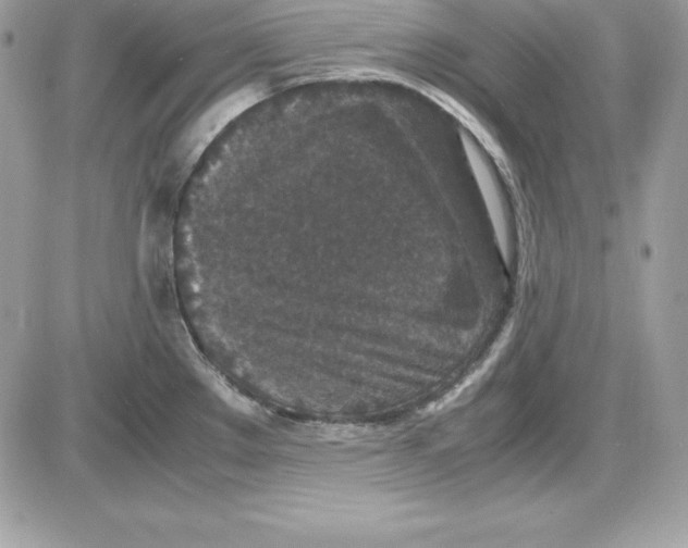 X0000085811289200704131937