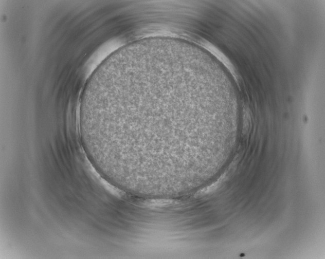 X0000085811290200704131937