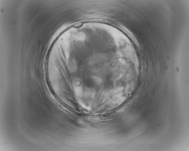 X0000085811291200704131937