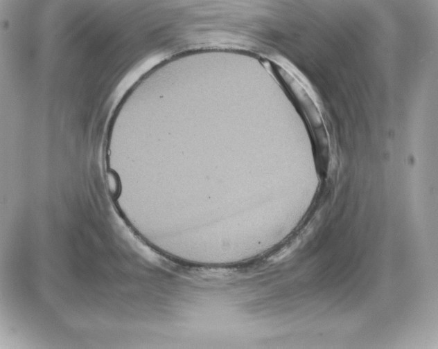 X0000085811293200704131937