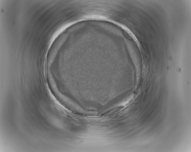 X0000085811295200704131937