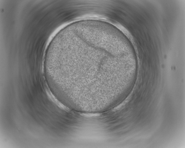 X0000085811296200704131937