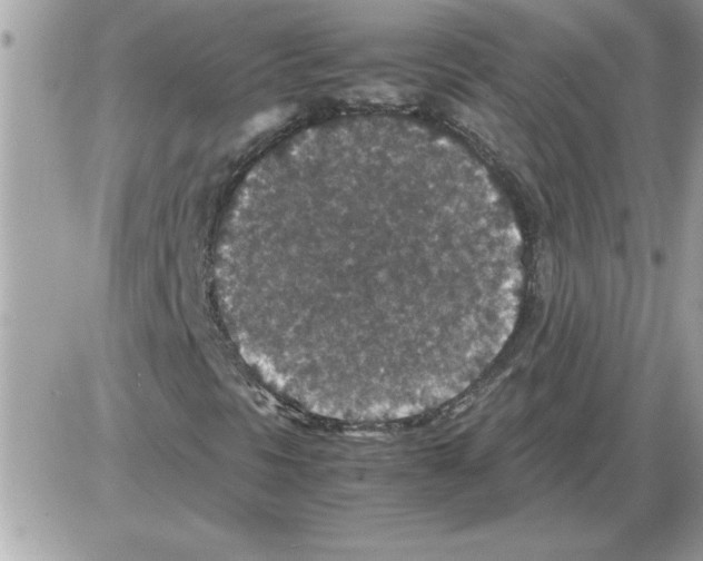 X0000085811297200704131936