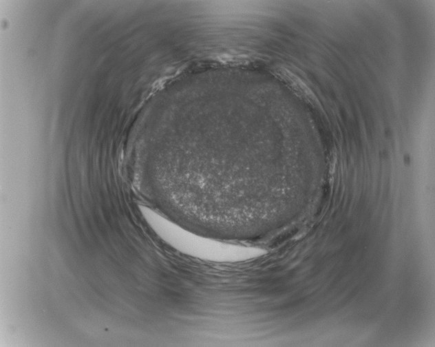 X0000085811298200704131936