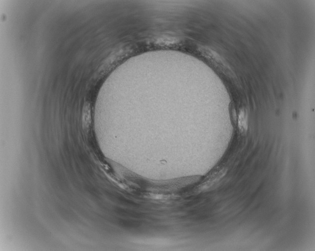 X0000085811299200704131936