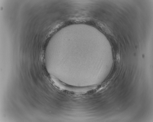 X0000085811300200704131936