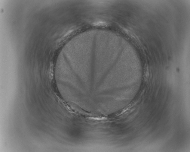 X0000085811301200704131936