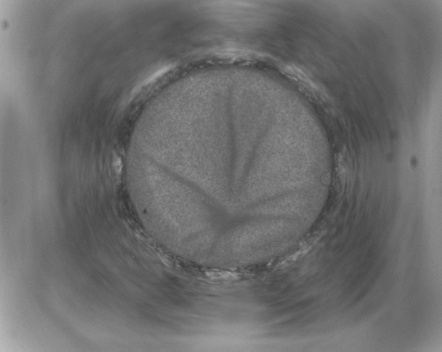 X0000085811302200704131936