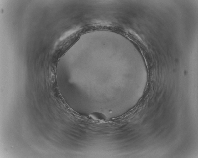 X0000085811303200704131936