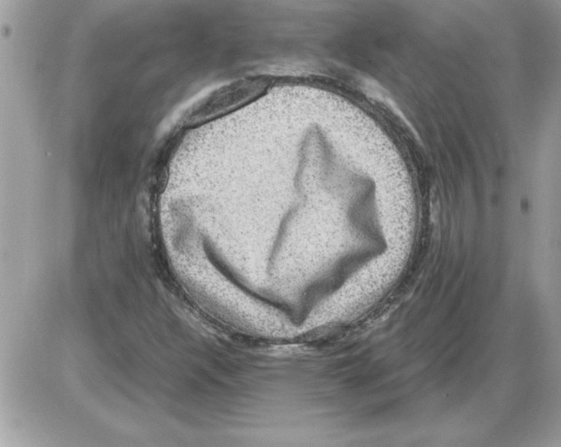 X0000085811304200704131936