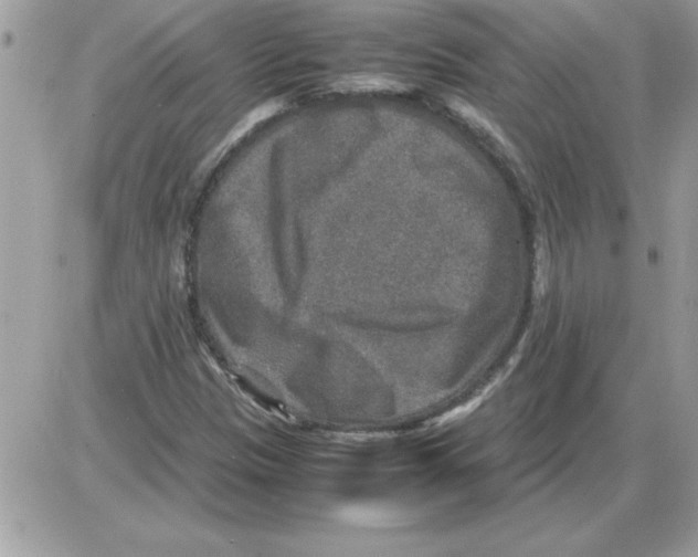 X0000085811305200704131936