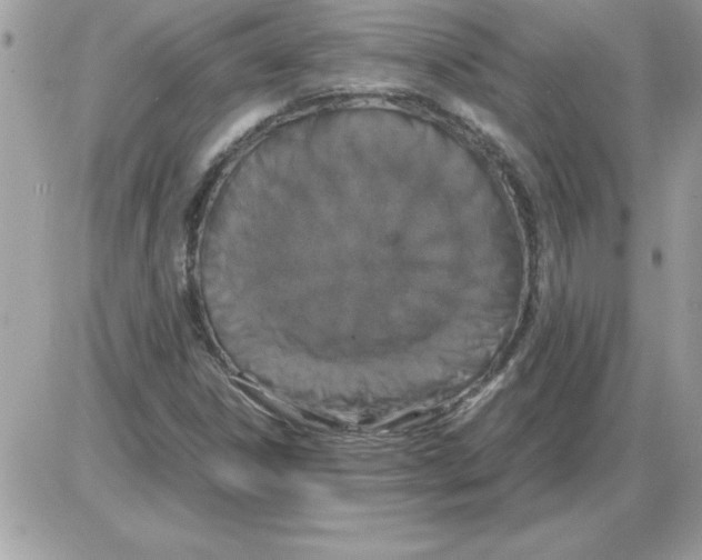 X0000085811306200704131936