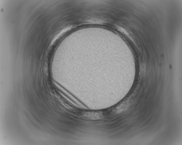 X0000085811307200704131936