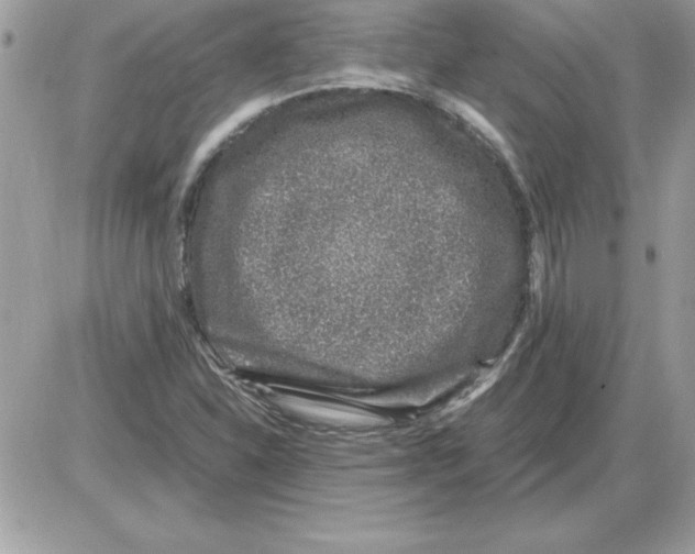 X0000085811310200704131936