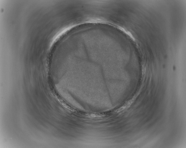 X0000085811311200704131936