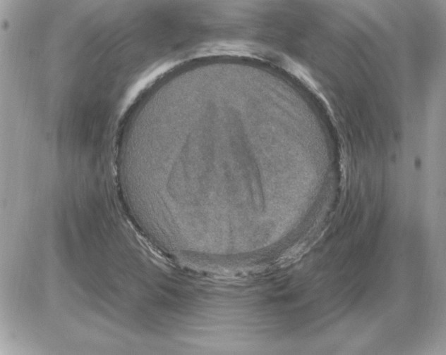 X0000085811312200704131936