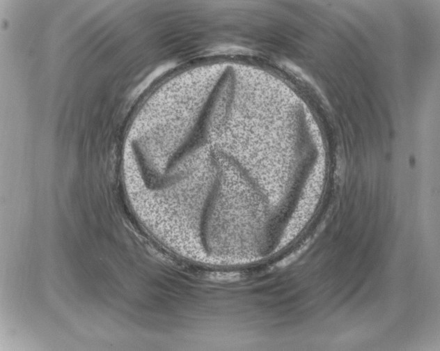 X0000085811313200704131936