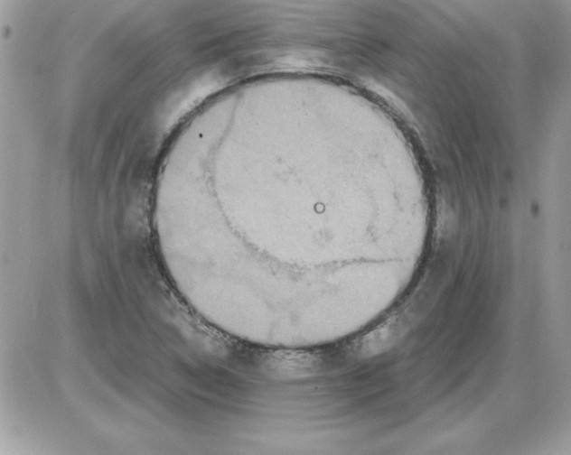 X0000085811314200704131936