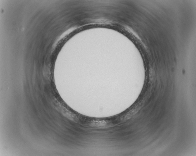 X0000085811315200704131936