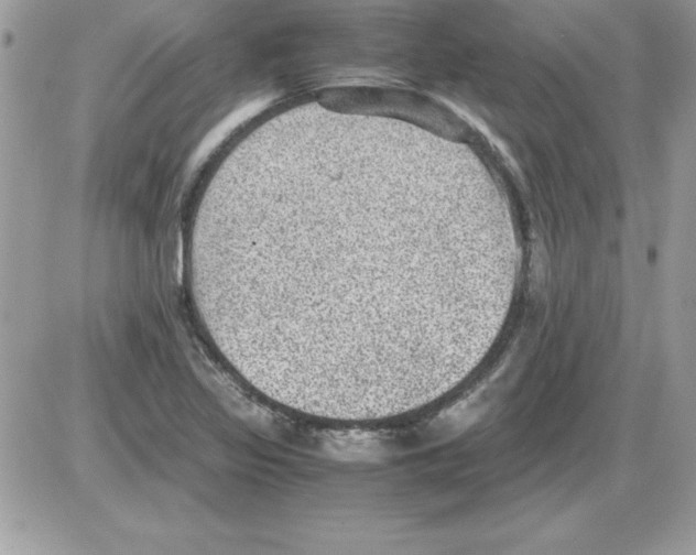 X0000085811317200704131936