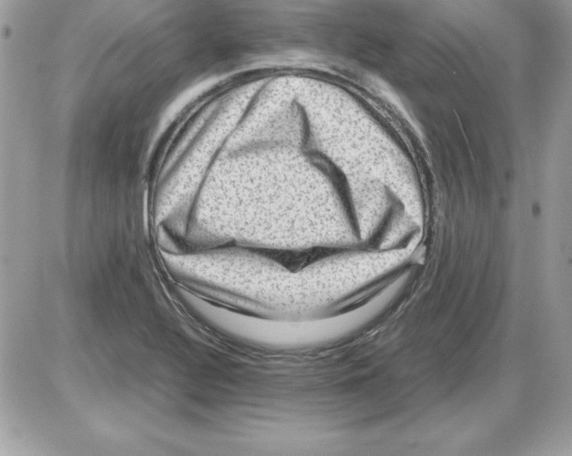 X0000085811320200704131936