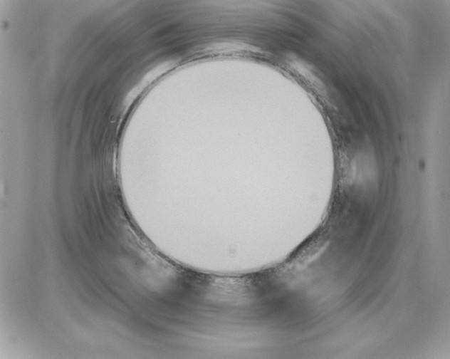 X0000085811322200704131936