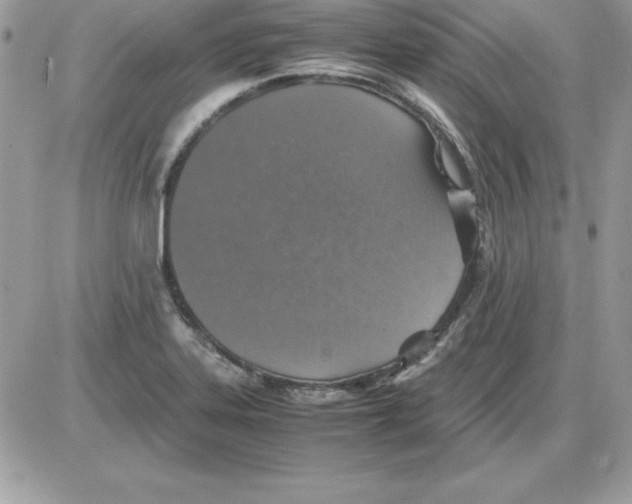 X0000085811323200704131936