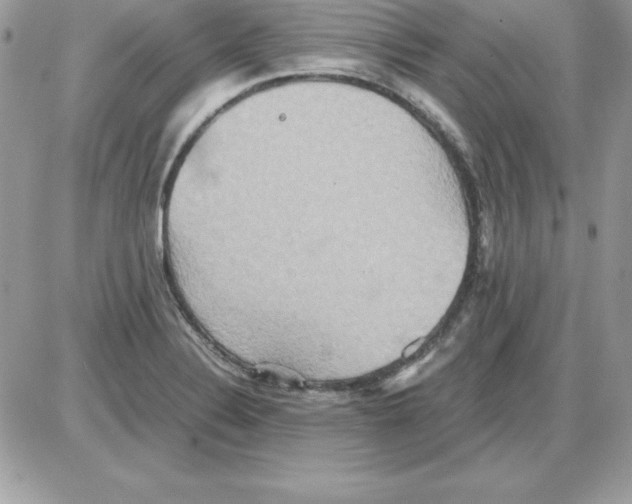 X0000085811324200704131936