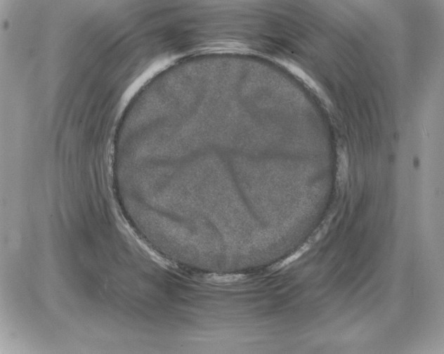 X0000085811325200704131936