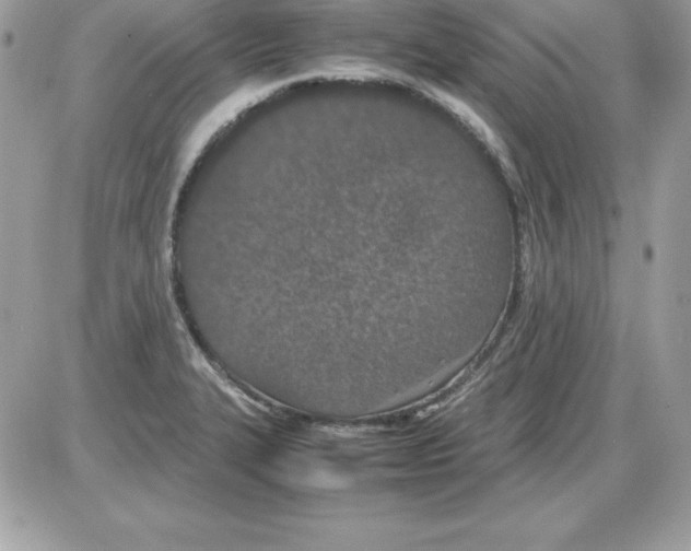 X0000085811327200704131936