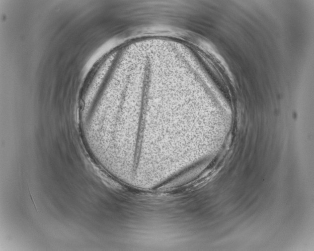 X0000085811328200704131936