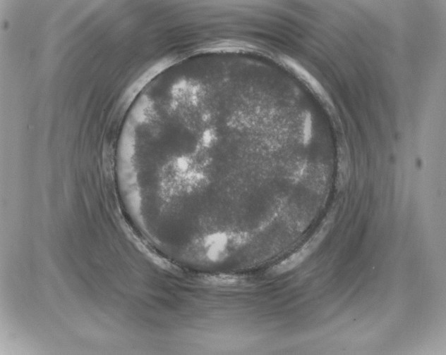 X0000085811329200704131936