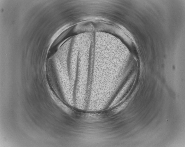 X0000085811330200704131936