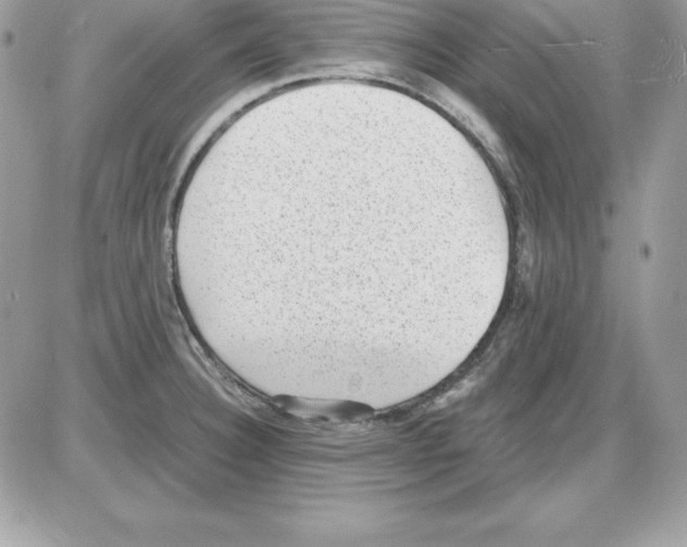 X0000085811332200704131937