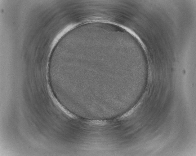 X0000085811333200704131937