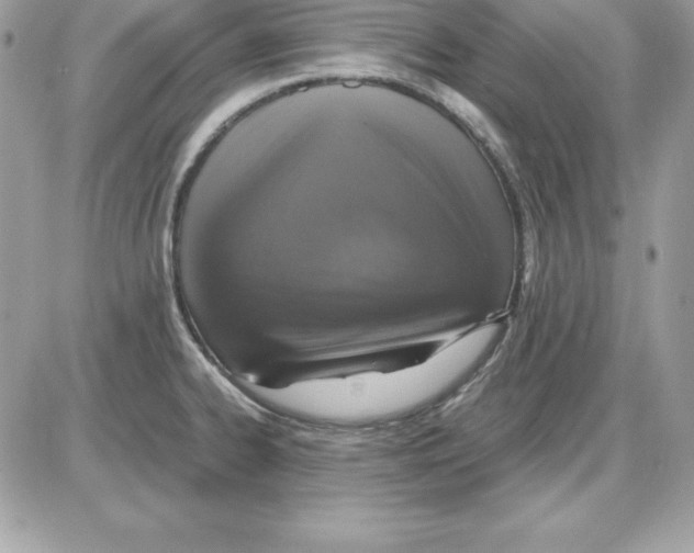 X0000085811334200704131937