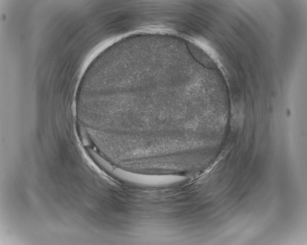 X0000085811335200704131937