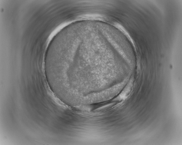 X0000085811336200704131937