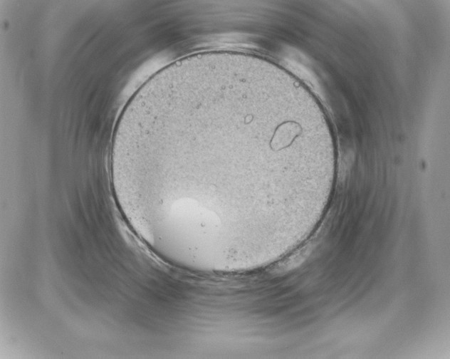 X0000085811338200704131937