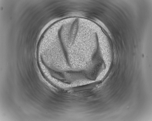 X0000085811339200704131937