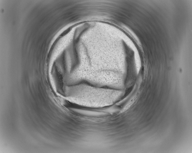 X0000085811340200704131937