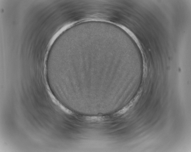 X0000085811341200704131937